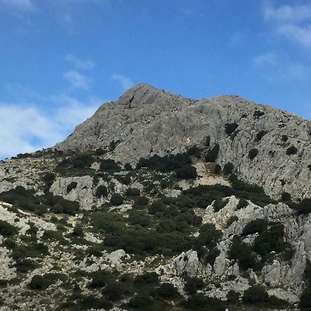 فيلا Villanueva del Rosarioفي La Casita De Piedra المظهر الخارجي الصورة