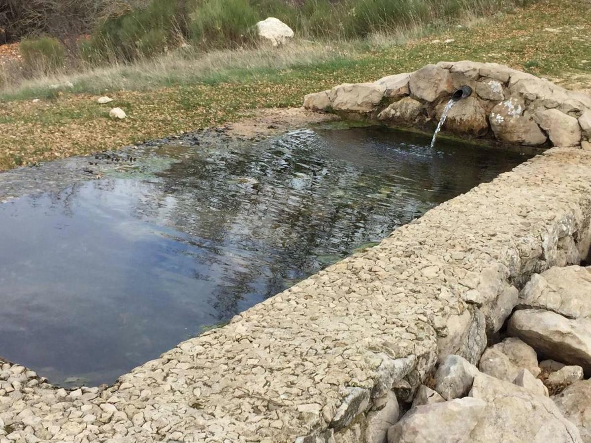 فيلا Villanueva del Rosarioفي La Casita De Piedra المظهر الخارجي الصورة
