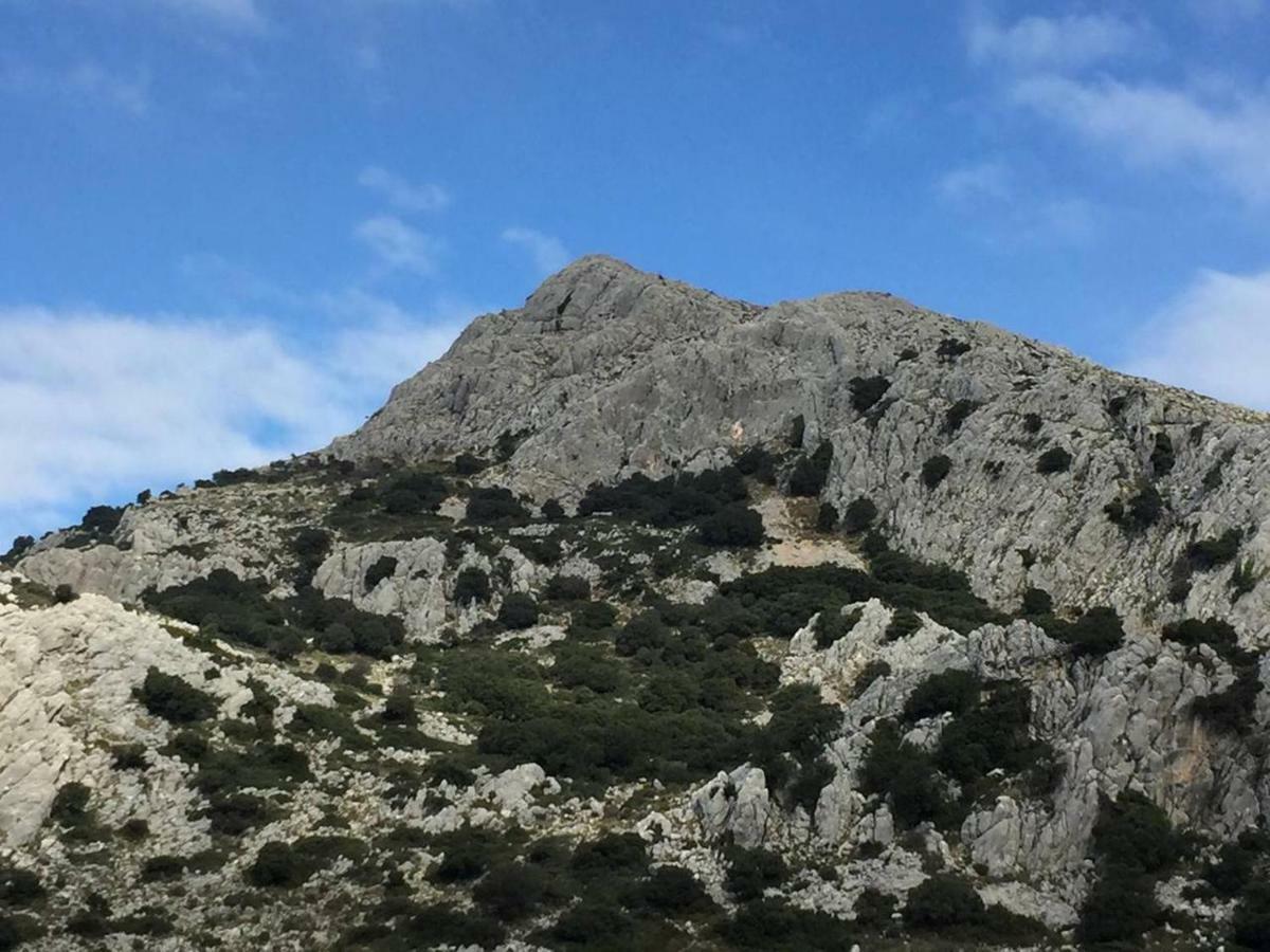 فيلا Villanueva del Rosarioفي La Casita De Piedra المظهر الخارجي الصورة