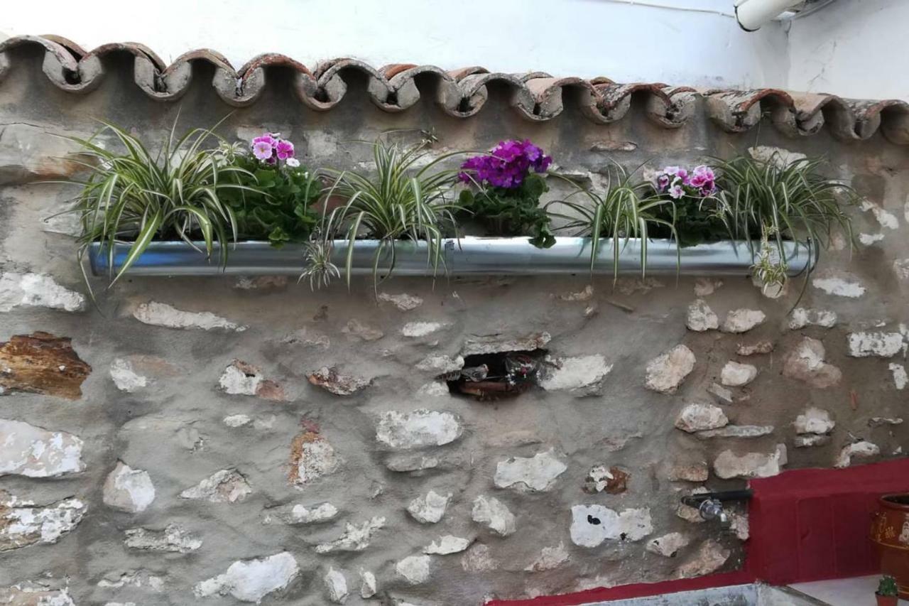 فيلا Villanueva del Rosarioفي La Casita De Piedra المظهر الخارجي الصورة